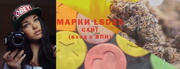ГАЛЛЮЦИНОГЕННЫЕ ГРИБЫ Кодинск