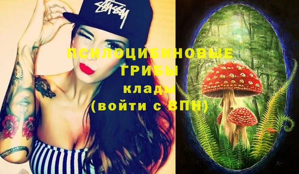 гашик Козельск