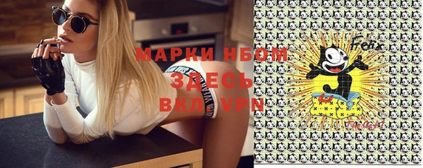 гашик Козельск
