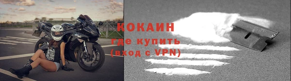 ГАЛЛЮЦИНОГЕННЫЕ ГРИБЫ Кодинск