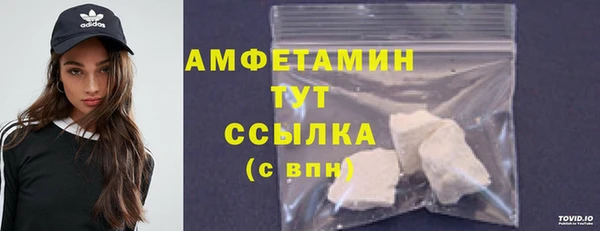 гашик Козельск