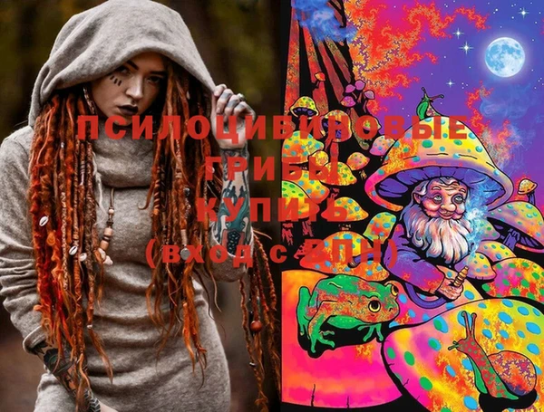 ГАЛЛЮЦИНОГЕННЫЕ ГРИБЫ Кодинск
