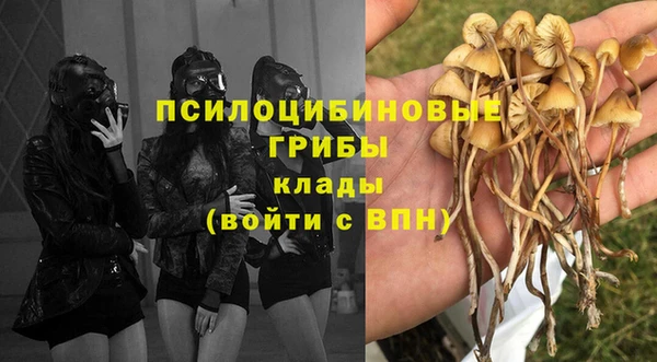 ГАЛЛЮЦИНОГЕННЫЕ ГРИБЫ Кодинск