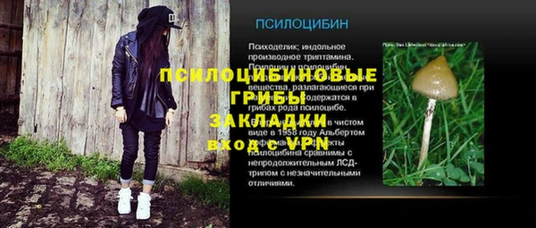 гашик Козельск