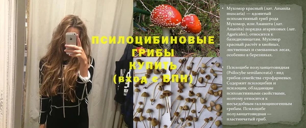 ГАЛЛЮЦИНОГЕННЫЕ ГРИБЫ Кодинск