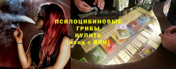 гашик Козельск
