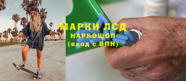 гашик Козельск