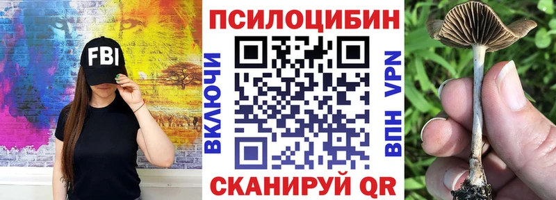 Галлюциногенные грибы MAGIC MUSHROOMS  Купить закладки  Рязань 